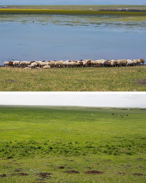 Foto - İklim krizinin en net örneği: Mışko Gölü