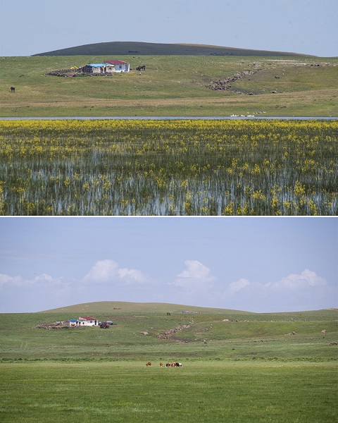 Foto - İklim krizinin en net örneği: Mışko Gölü