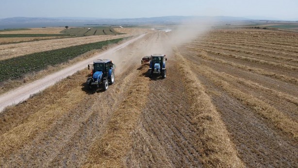 İklim şartları sebebiyle hububatta istenilen rekolte olmadı