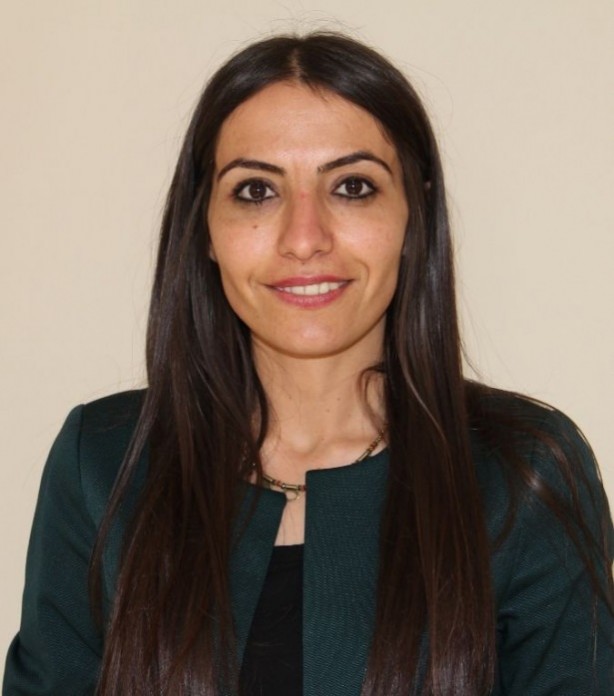 Foto - İl il HDP'nin milletvekilleri ve aldıkları oylar