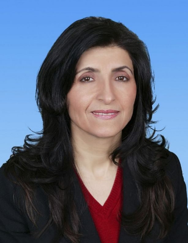 Foto - İl il HDP'nin milletvekilleri ve aldıkları oylar