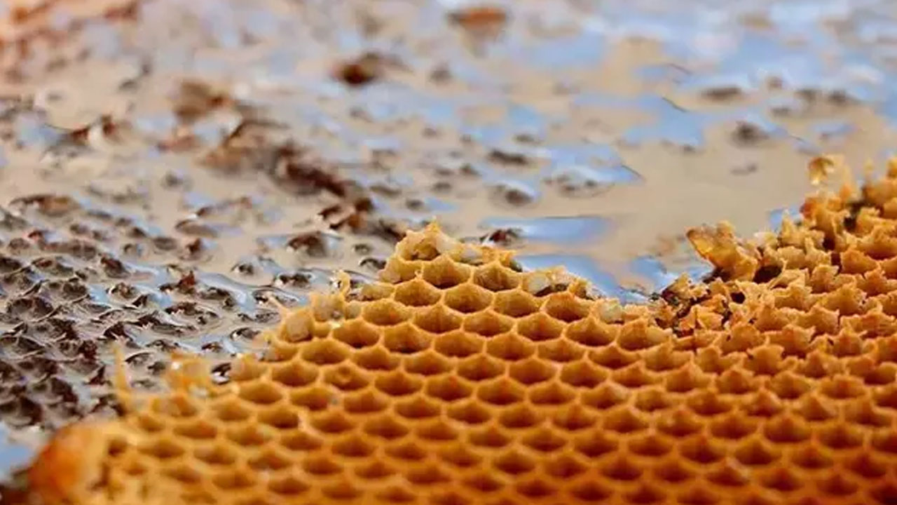 İşte sır gibi saklanan o reçete: Burun akıntısını şak diye kesiyor! Hasta adamı zımba gibi ayağa kaldıracak tarif