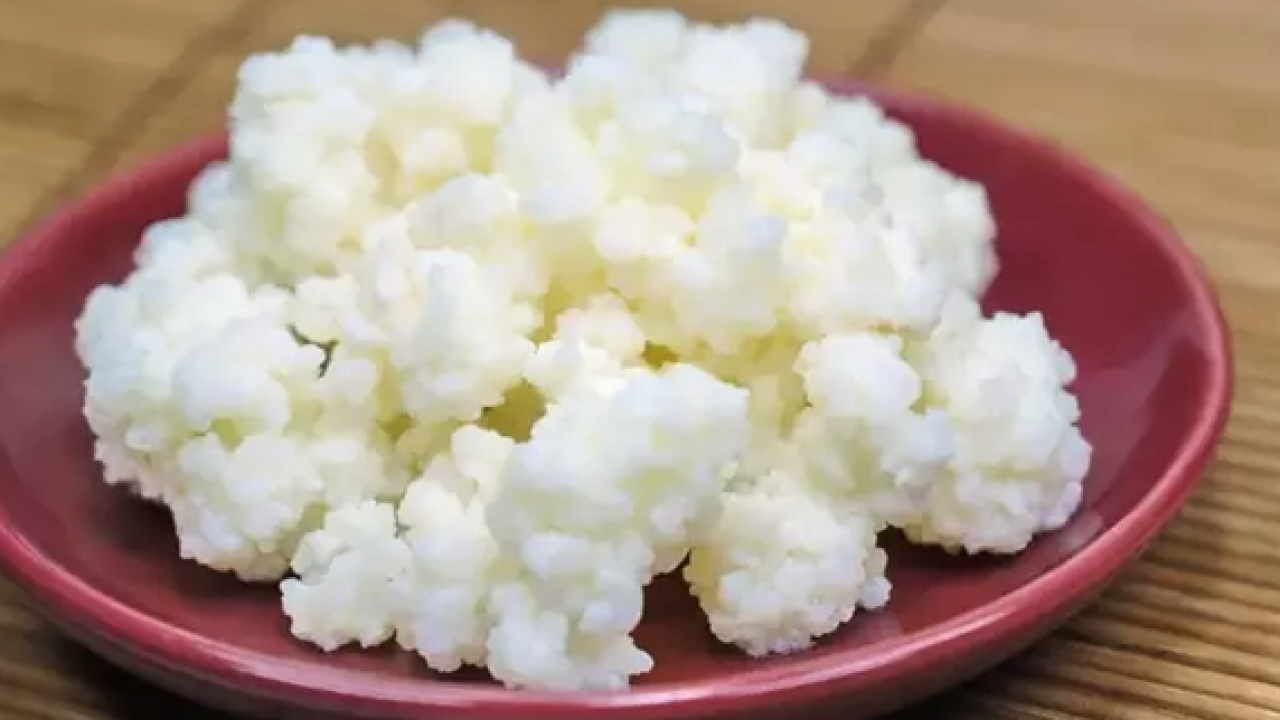 Foto - İlaç gibi etki eden kalp dostu süper gıda! Sadece 10 günde kolestorelü düşürüyor