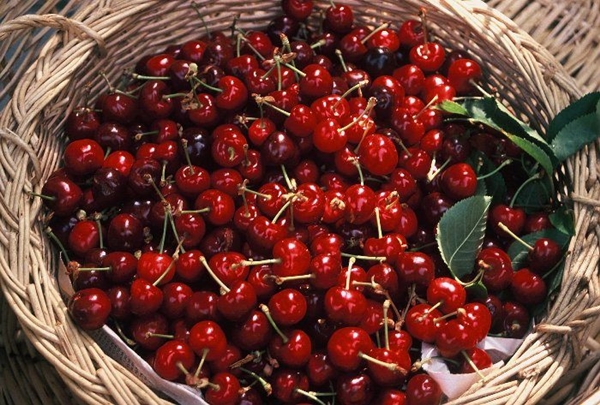 Foto - İlaç kullanmadan ağrılardan kurtulmak mümkün!