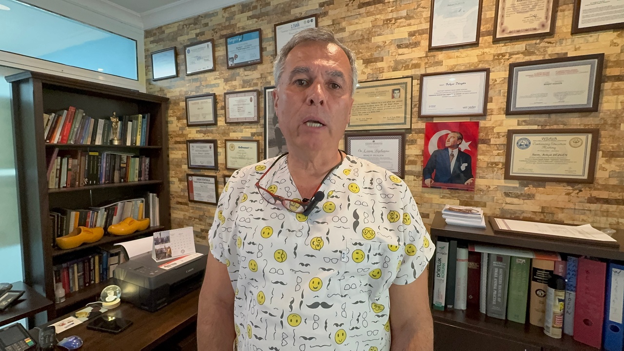 Foto - İlçe sakinleri ne yapacaklarını şaşırdı! CHP işini yapmıyor domuzlar bayram ediyor!