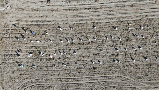 Foto - İlçedeki vatandaşlar bu sonucu beklemiyordu! Deneme amaçlı yapıldı sonuç müthiş