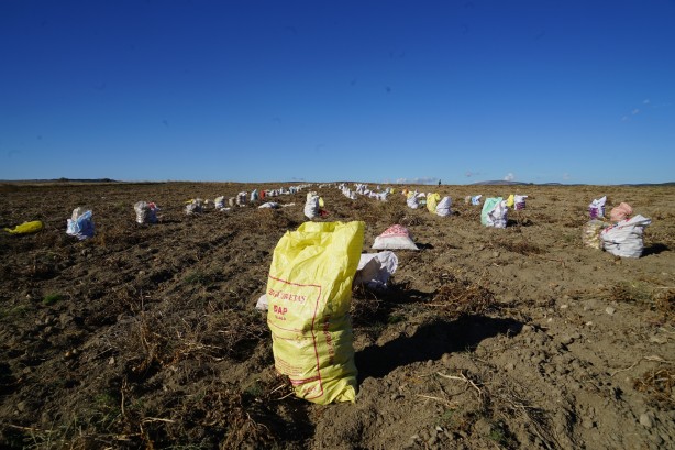Foto - İlçedeki vatandaşlar bu sonucu beklemiyordu! Deneme amaçlı yapıldı sonuç müthiş