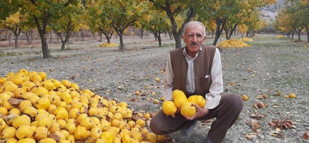 Foto - İlçenin alternatif gelir kaynağı olacak