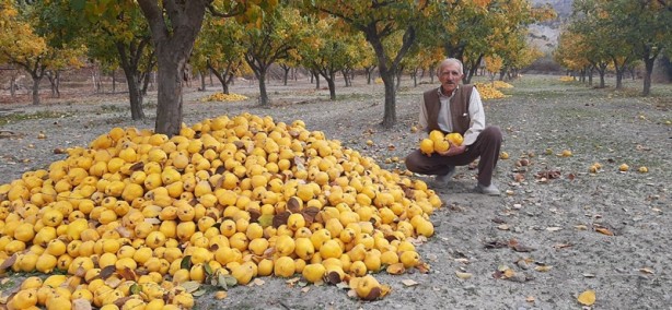 Foto - İlçenin alternatif gelir kaynağı olacak