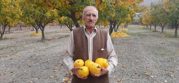 Foto - İlçenin alternatif gelir kaynağı olacak