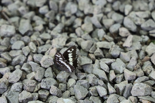 Foto - İlçeyi dünyaya tanıtmak istiyor! İşçi olarak girdiği belediyenin başkanı oldu