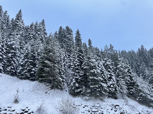 Foto - Ilgaz Dağı'nda kar kalınlığı 10 santimetreyi geçti