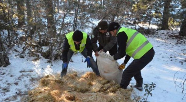 Foto - Ilgaz Dağı'nda yaban hayvanları için doğaya yem bırakıldı