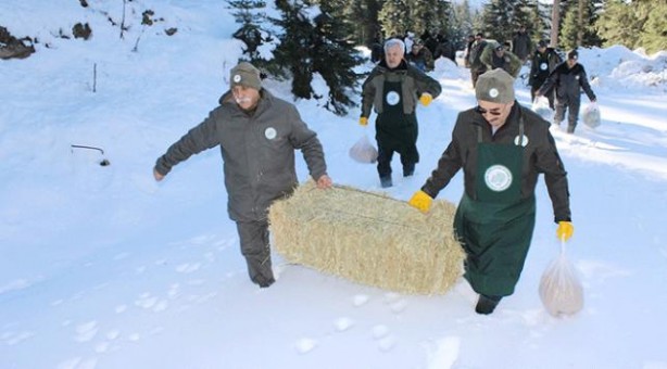 Foto - Ilgaz Dağı'nda yaban hayvanları için doğaya yem bırakıldı