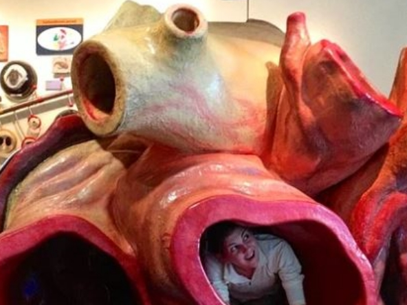 Foto - İlginç bilgiler! Stresi ortadan kaldırıyor