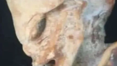 İlginç bir yaratık ortaya çıktı! Fotoğrafını görenler dehşete düştü! Bugüne kadar herkesten gizlenmiş