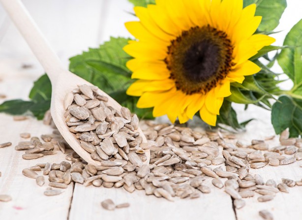 Foto - İlginç çalışma! Karpuz şaşırttı İşte yiyeceklerin vücudumuzda sindirilme süreleri