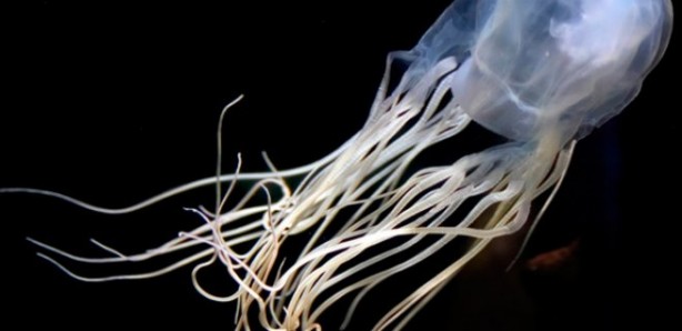 Foto - İlginç detay! Tayt giymekten hiç gocunmuyorlar