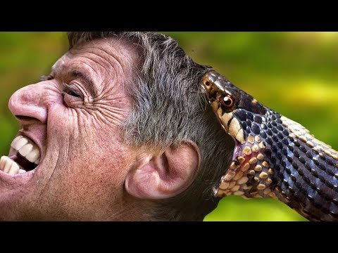 Foto - İlginç detay! Tayt giymekten hiç gocunmuyorlar