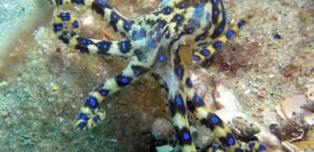 Foto - İlginç detay! Tayt giymekten hiç gocunmuyorlar