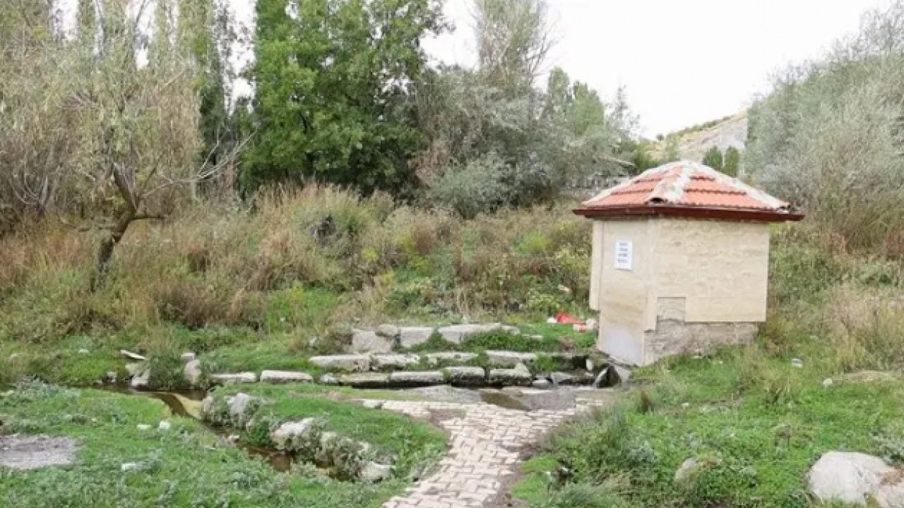 Foto - İlginç doğa oluşumu dikkat çekiyor: Böbrekleri süzgeç gibi yapıyor!