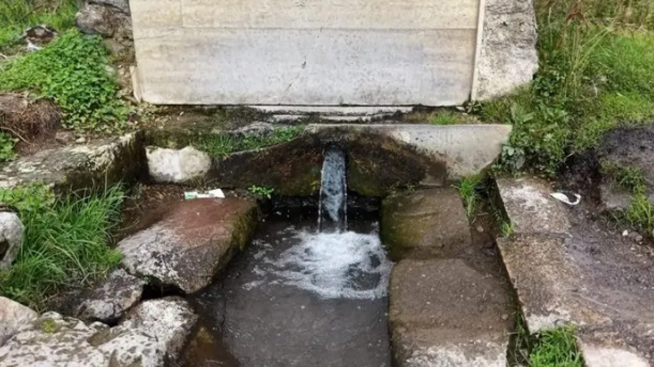 Foto - İlginç doğa oluşumu dikkat çekiyor: Böbrekleri süzgeç gibi yapıyor!