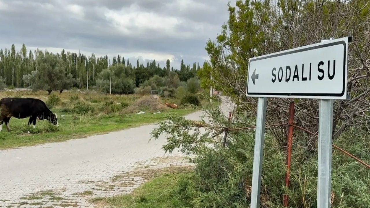 İlginç doğa oluşumu dikkat çekiyor: Böbrekleri süzgeç gibi yapıyor!