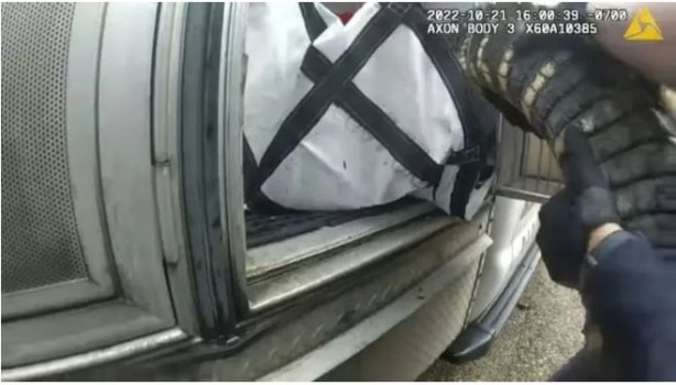 Foto - İlginç olay! Timsahla uyuduğunu görenler ertesi gün adamı bulamadı