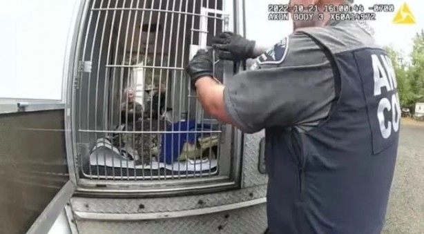 Foto - İlginç olay! Timsahla uyuduğunu görenler ertesi gün adamı bulamadı