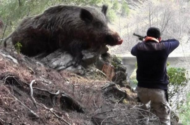 Foto - İlginç sakatlık hikayeleri!