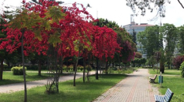 Foto - İlginç sonuçlar! Türkiye'de en çok endişe duyan bölge...