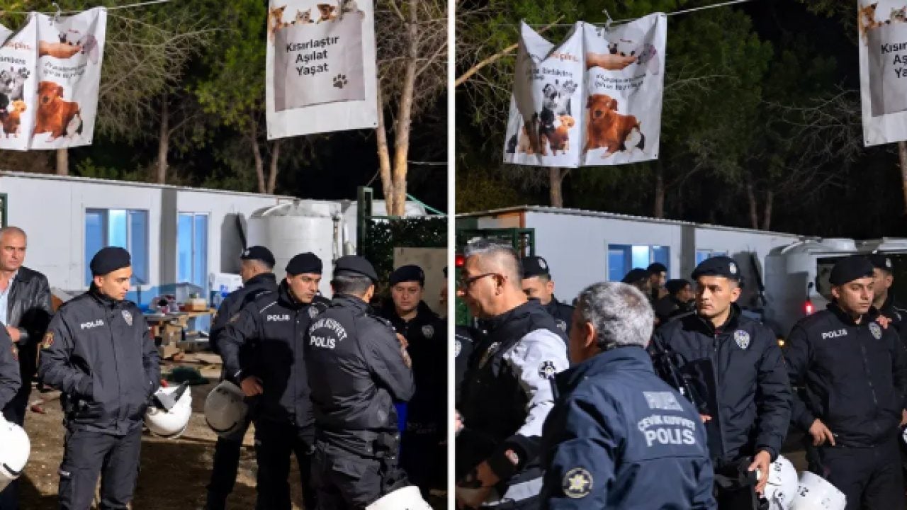 Foto - İlim yuvasını barınağa çevirmişlerdi: Kampüs temizlendi, köpekperestler kudurdu