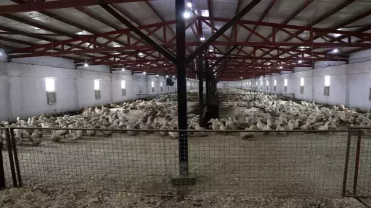 Foto - İlişkiler yeni yeni düzeliyordu! Mısır’dan flaş Türkiye kararı! O ilimiz için harekete geçtiler