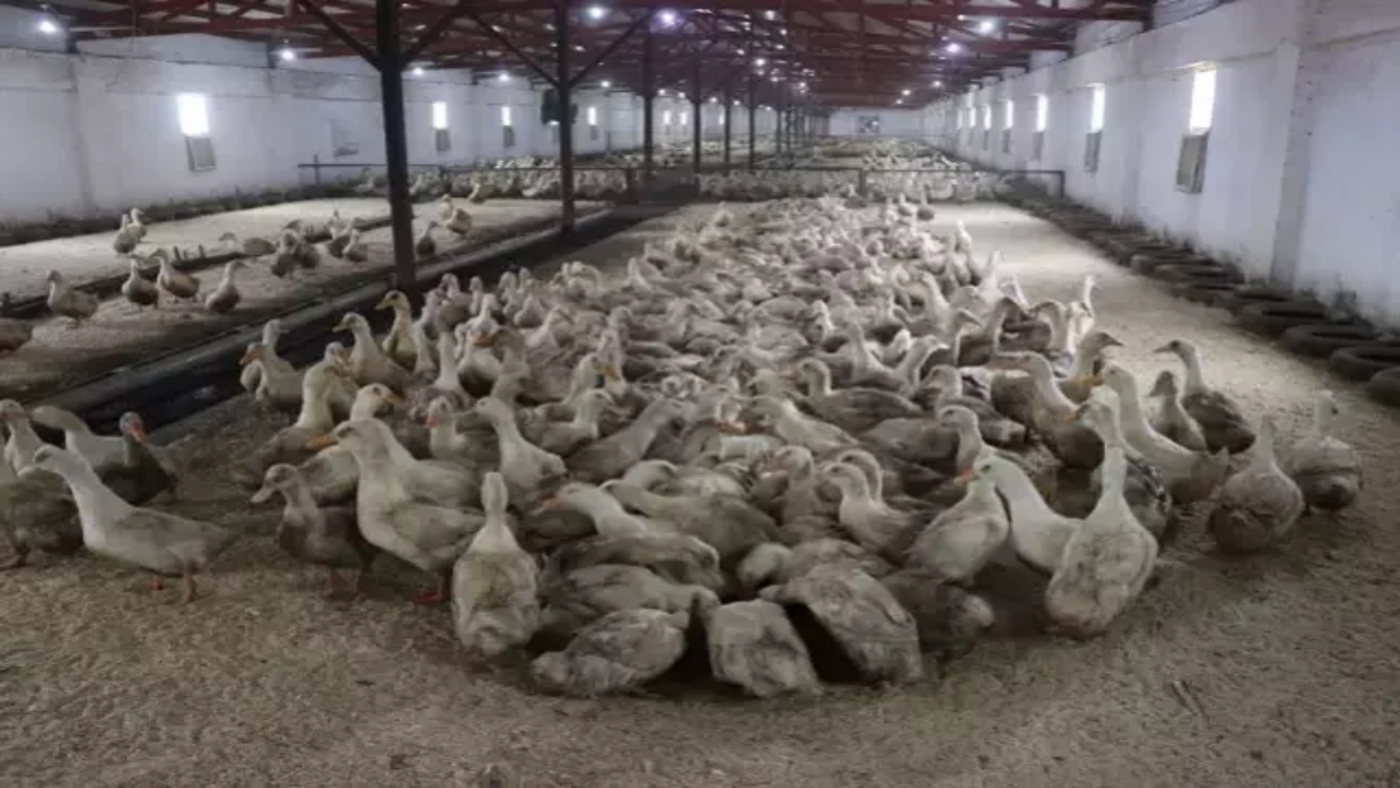 Foto - İlişkiler yeni yeni düzeliyordu! Mısır’dan flaş Türkiye kararı! O ilimiz için harekete geçtiler