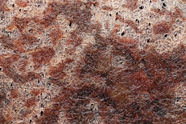 Foto - İlk defa bu kadar yakından göreceksiniz!