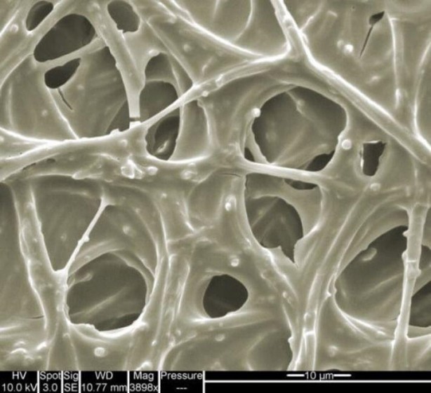 Foto - İlk defa bu kadar yakından göreceksiniz!