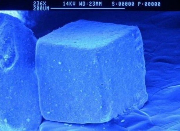 Foto - İlk defa bu kadar yakından göreceksiniz!