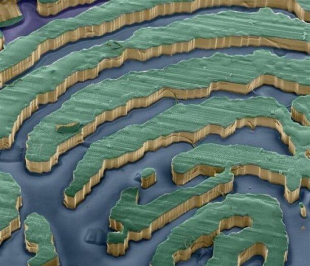 Foto - İlk defa bu kadar yakından göreceksiniz!