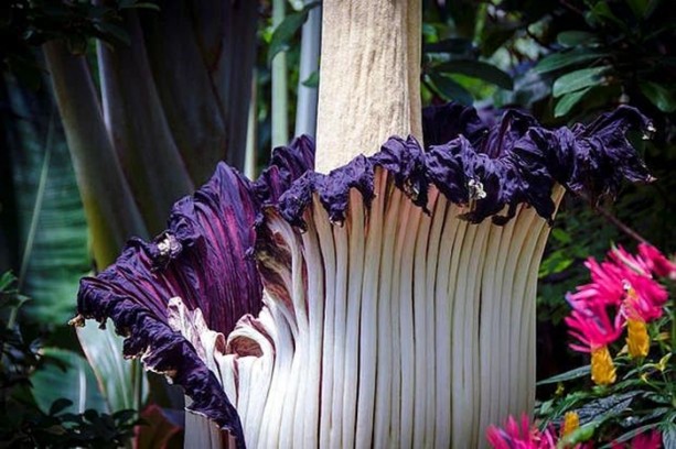 Foto - İlk defa duyacağınız ilginç bilgiler