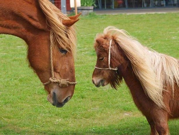 Foto - İlk defa duyacağınız ilginç bilgiler