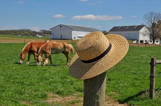 Foto - İlk defa duyacağınız ilginç bilgiler