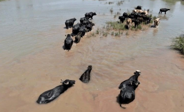 Foto - İlk etapta herkes Afrika sanabilir! Ama burası Erzincan... Gelen görüntüler herkesi şaşkına çevirdi