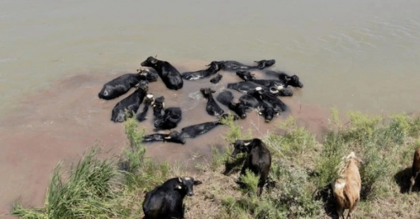 Foto - İlk etapta herkes Afrika sanabilir! Ama burası Erzincan... Gelen görüntüler herkesi şaşkına çevirdi