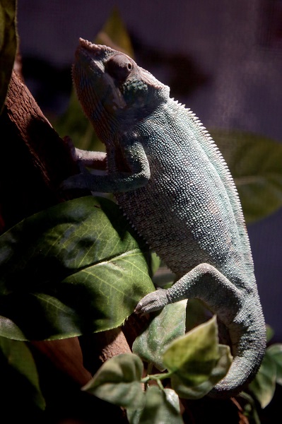 Foto - İlk gün 15 bin kişi ziyaret etti | Yok böyle sergi!