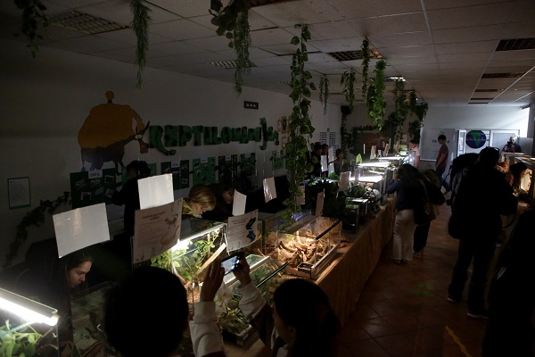 Foto - İlk gün 15 bin kişi ziyaret etti | Yok böyle sergi!