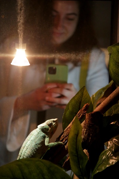 Foto - İlk gün 15 bin kişi ziyaret etti | Yok böyle sergi!