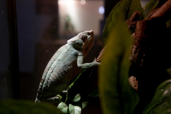 Foto - İlk gün 15 bin kişi ziyaret etti | Yok böyle sergi!