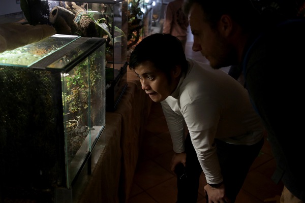 Foto - İlk gün 15 bin kişi ziyaret etti | Yok böyle sergi!