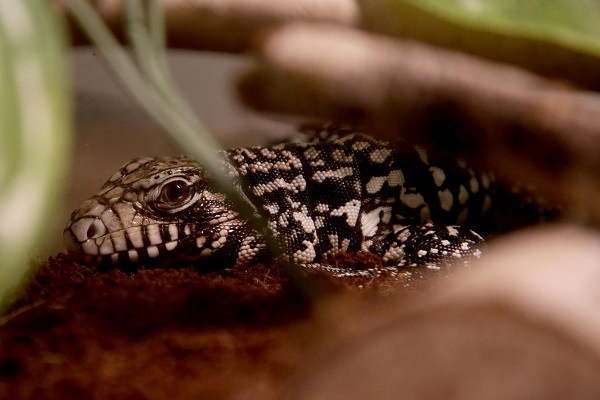 Foto - İlk gün 15 bin kişi ziyaret etti | Yok böyle sergi!