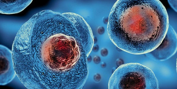 Foto - İlk keşif! Bilim insanları: Saçlardaki beyazlaşmayı tersine çevirme veya önlemeye dair araştırma umut verdi! 